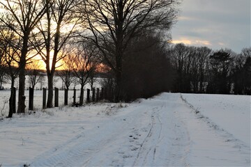 Winter landscape with trees and dirt road in the snow