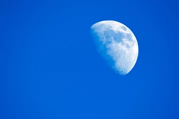 Foto auf Leinwand Crescent moon // Halbmond // Croissant // Halvemaan 21.02.2021 © bennytrapp