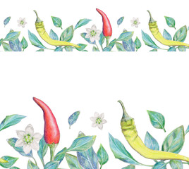 Hand-drawn horizontal seamless border with hot chilli and holopeno, with leaves and flowers. Design with watercolor pencils for the kitchen, menu, restaurant, website, scotch tape, fabric, ribbon.