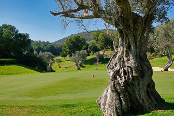 Bendinat Golf Course