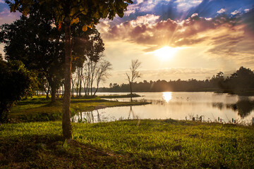 Fototapeta na wymiar Tree near lake during sunset. Beautiful natural landscape