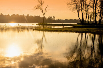 Scenic view at beautiful spring sunset with tree blurred reflection on a shiny lake.  golden sun rays, calm water ,  spring evening landscape