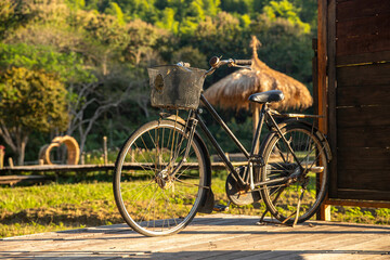Fototapeta premium The beautiful morning sun is shining on an old ladies bicycle in garden.