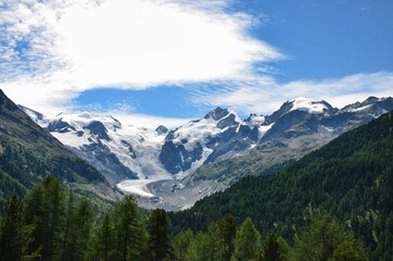 Fototapeta na wymiar morteratsch glacier in the canton of grisons engadin with green forest in the foreground. Swiss Alps, Blue Sky