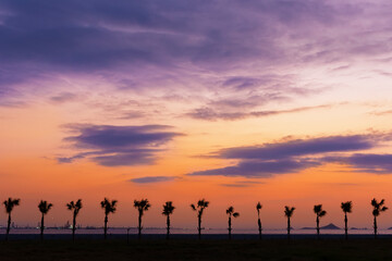 Fototapeta na wymiar Silhouette of Palm tree under sunset. Tropical nature background