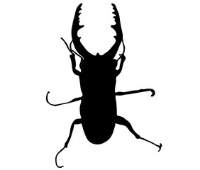 ノコギリクワガタのかっこいいシルエット
