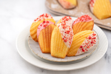 Delicious homemade chocolate dipped madeleine on white table background