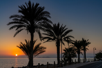 Fototapeta na wymiar sunset over the ocean with palm trees in silhouette and a beachfront sidewalk and oceanfront road