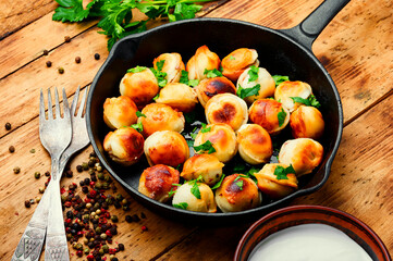 Delicious fried dumplings