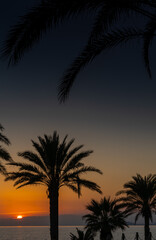 Fototapeta na wymiar silhouette of palm trees with a beautiful sunset over the ocean in the background