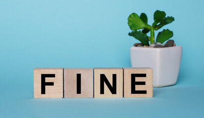 On a light blue background on wooden cubes near a plant in a pot it says FINE