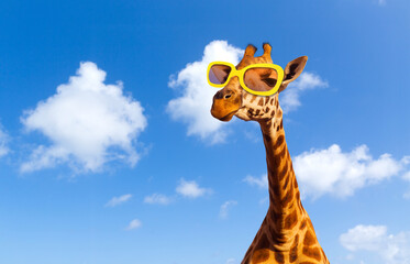 animal, nature and wildlife concept - funny giraffe in sunglasses over blue sky and clouds on background © Syda Productions