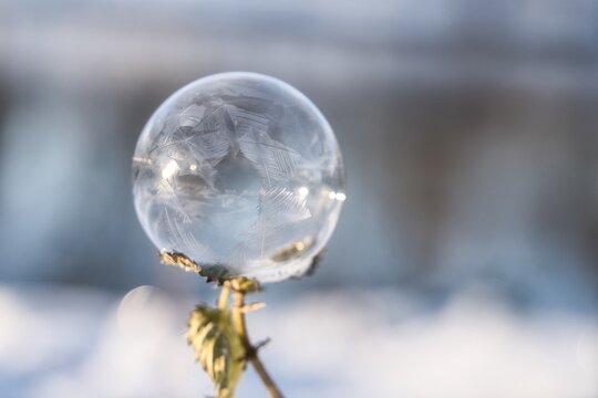 Ice crystals on a frozen soap bubble sitting on a plant on a winter morning