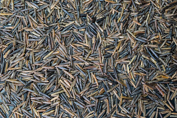 close up of a pile of rice, wild rice background, background of rice
