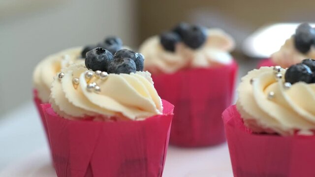 Closeup, delicious cupcakes with whipped sweet cream, decorated with fresh blueberries are snubed on a tray, festive dessert