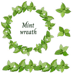Green wreath of mint leaves on a white background. Italian herbs set, vector botanical illustration.