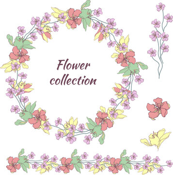 Floral wreath of wildflowers, set of flowers cut on white background. Vector botanical illustration.