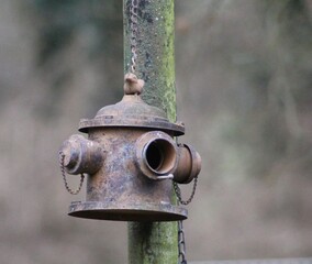Metal Birdhouse on Iron Pole