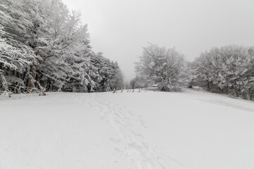 Monte Fumaiolo with fresh snow, Italy