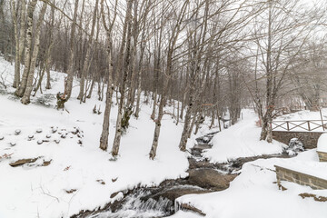 Monte Fumaiolo with fresh snow, Italy