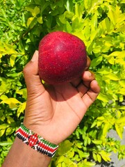 Apple taken a few seconds after being removed from the fridge.