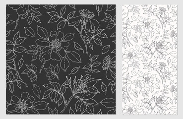 Vector seamless pattern with wild rose. Monochrome background with rose hips. Petals, buds, branches, leaves. - 415744219