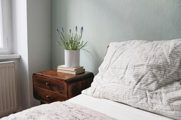 Bedroom closeup view. Striped white and beige linen pillows and blanket. Wooden bed and night stand. Blooming muscari plant in white flower pot. Books on retro bedside table. Elegant interior.