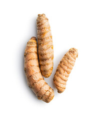 Indian turmeric root. Turmeric spice. Yellow turmeric on white background.
