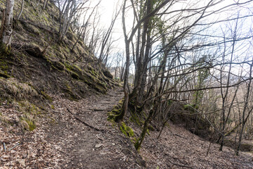 Foreste Casentinesi near Ridracoli dam