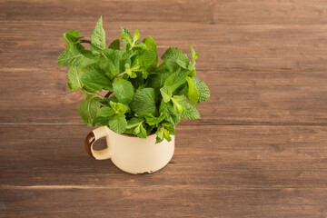 Fresh green mint leaves in a metal cup on a wooden dark background. Mentha piperita plant.