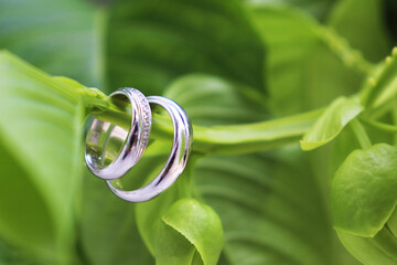 wedding rings on a leaf. perfect images for wedding day photography collections