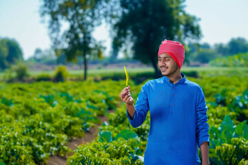 Young indian farmer standing at green chilly field