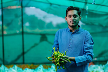 Young indian farmer standing at green chilly field