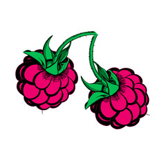 stylized two pink green black berry raspberry