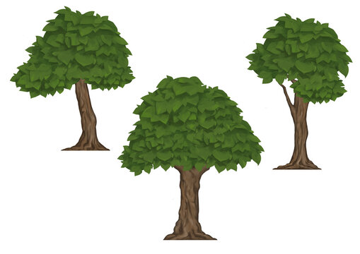 Collection of hand drawn tree with leaves 2d set illustrations isolated