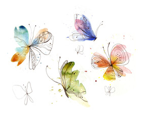 Hand-drawn butterflies. Watercolor and pen. Isolated on white background - 415748497