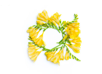 Beautiful yellow freesia frame isolated on white background. Minimal concept. Flat lay, top view.