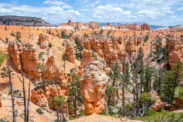 Red Rocks Hoodoos in Bryce Point at Bryce Canyon National Park, Utah