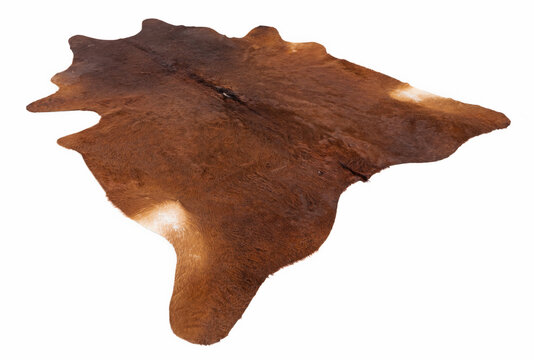 Isolated picture of a cow skin on a white background