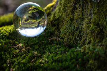 Glaskugel liegt in grünem Moos am Birkenstamm, Frühlingslandschaft spiegelt sich darin.