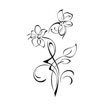 floral design with blooming flowers on stems with leaves and curls in black lines on a white background