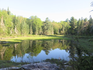 Fototapeta na wymiar the Mizzy Lake in the Algonquin Provincial Park, Ontario, Canada, May