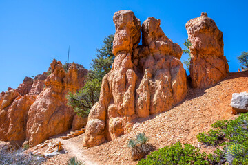 An overlooking view of nature in Dixie National Forest, Utah