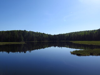 Fototapeta na wymiar a lake in the Algonquin Provincial Park, Ontario, Canada, May