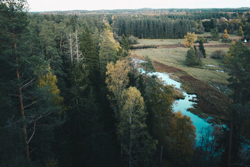 Aerial top view of summer green trees in forest in rural Latvia whit blue woods river.
