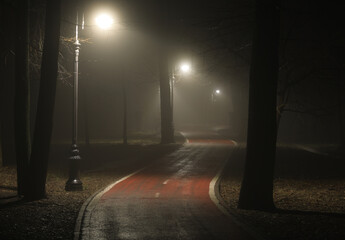 lantern lights on the road in the forest in the fog