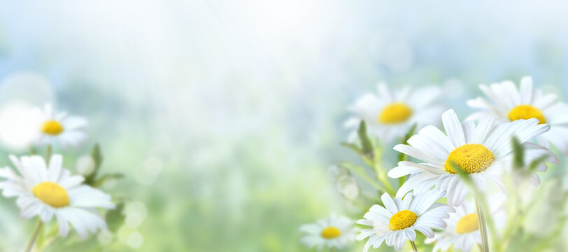 Spring No Copyright Free Spring Images – Browse 44,342 Free Stock Photos, Vectors, and ...