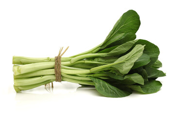 Green kale on a white background