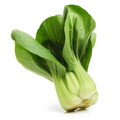 Pok Choi on white background 