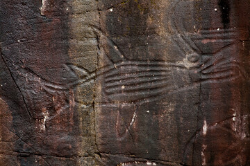ancient Coast Salish west coast First Nations petroglyphs at Sproat Lake, BC